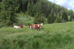 Seenwanderung Lungau